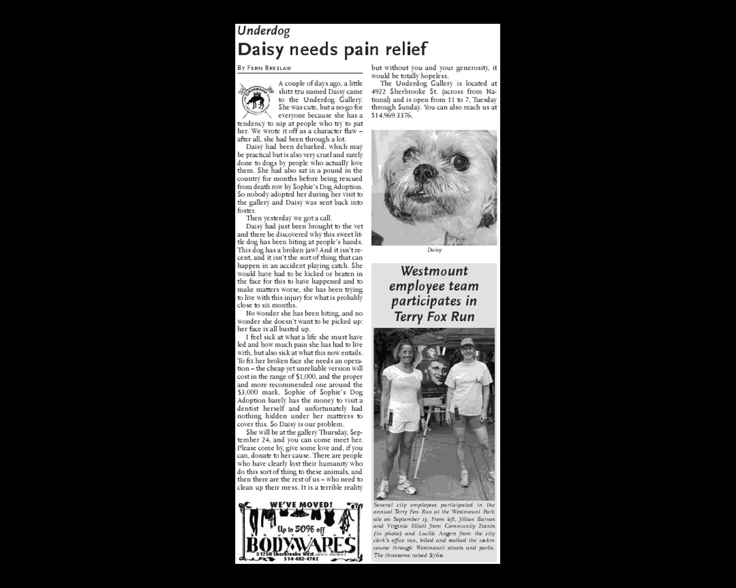 Daisy needs pain relief