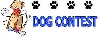 Dog Contest