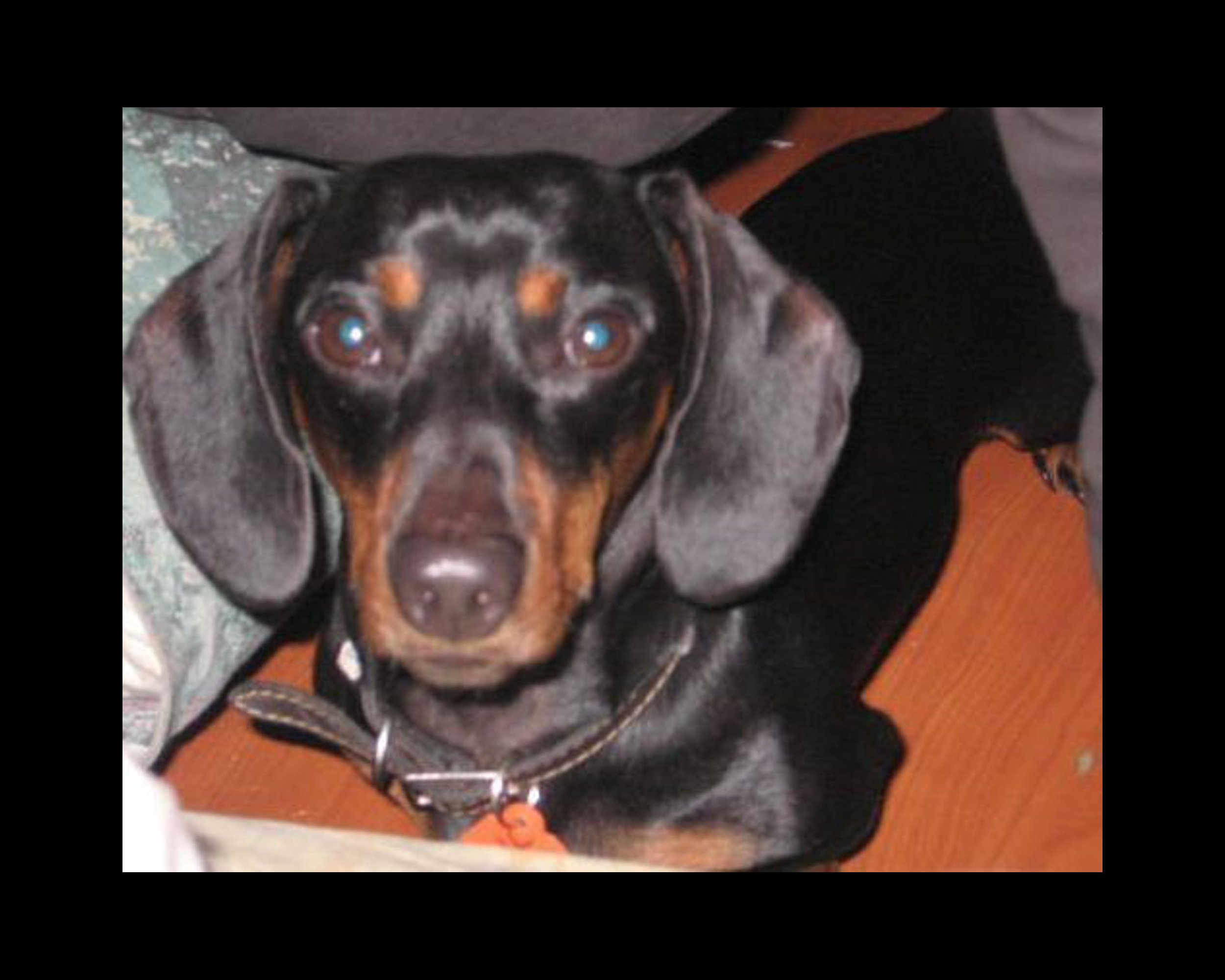Fritz 2