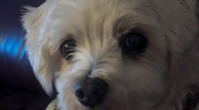 Ol’Cooper