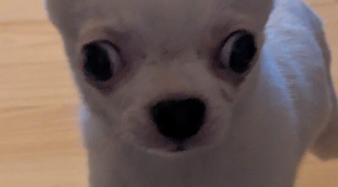 Toupie